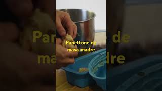 Panettone de masa madre panettone [upl. by Aitra787]