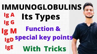 IMMUNOGLOBULINS IgA IgG IgM IgD IgE  Types of Immunoglobulins  Functions of immunoglobulins [upl. by Ettennahs]