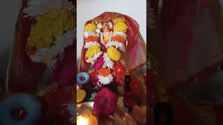 Tere mandiro mein mai maine Jyoti kya jalai🙏❣️ jaimatadi trending shorts viral yt bhakti song [upl. by Imas]