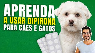 DOSAGEM Para que Serve O que É Como Usar e Contra Indicações da DIPIRONA PARA CACHORROS E GATOS [upl. by Asim]