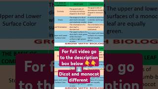 Difference between dicot and monocot leafs [upl. by Inalel]