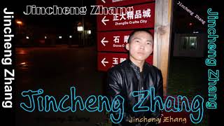 Jincheng Zhang  Practice Instrumental Version Background Music Official Audio [upl. by Euginom1]