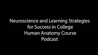 Neuroscience and Learning Strategies for Success in College Human Anatomy Course Podcast [upl. by Alius]