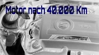 Seat Leon Cupra 280  Wie schaut der Motorraum nach 40000 km aus [upl. by Aem192]