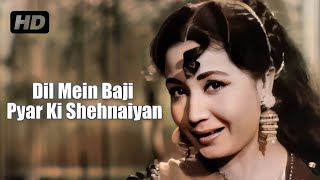 दिल में बजी प्यार की शहनाईयाँ  Kohinoor 1960  Dilip Kumar  Meena Kumari  Lata Mangeshkar Hits [upl. by Riannon]