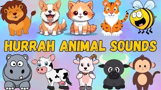 quotAnimal Sounds Fun  Learn Noises from Cats Dogs amp More  Kids SingAlongquot [upl. by Oranneg]