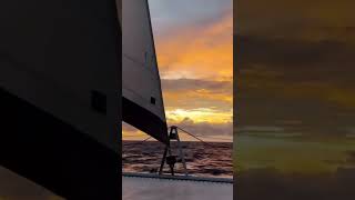 Sunset crazies… sailingfamily sailinglife family sailing [upl. by Aihsik]