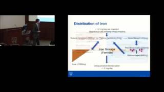 Medical Grand Rounds  The Hereditary Hemochromatosis Clinic at Mayo Clinic [upl. by Enttirb888]