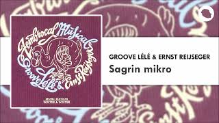 Groove Lélé amp Ernst Reijseger  Sagrin mikro [upl. by Pillihp]