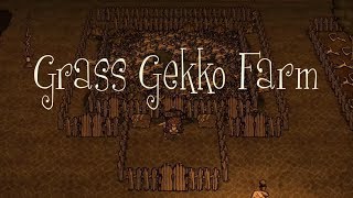 DST Tips Creating a Grass Gekko Farm [upl. by Irmo]