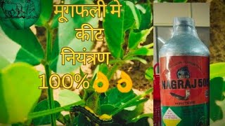 Nagraj 505 Insecticide Chloropyriphos 50  Cypermethrin 5 EC मूंगफली में कीट नियंत्रण कैसे करें [upl. by Mit]