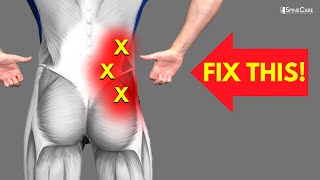 How to Fix Lower Back Pain off to the Side [upl. by Ynaffital68]