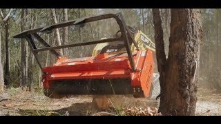 ASV RT120 FORESTRY POSI TRACK LOADER AND FECON BULL HOG MULCHER [upl. by Leonardi321]