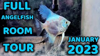 Angelfish Room Tour January 2023 [upl. by Nahtaneoj]