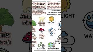 Biotic and abiotic factors english grammar learning vocabulary biology science shorts [upl. by Leeland]