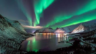 4K Northern Lights Timelapse  Tromsø  Norway  December 2021 [upl. by Gervase]