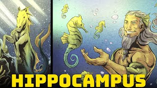 Hippocampus  The Incredible Sea Horses of Greek Mythology [upl. by Ynogoham909]