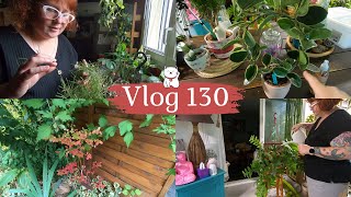 VLOG 130🌿 Jai failli pas sortir de vidéo  De lentretien plantes en toute simplicité  Chenilles🐛 [upl. by Tye]