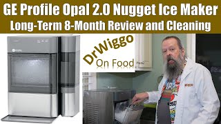 Opal 20 Ice Maker 8Month Review Plus First Cleaning [upl. by Timi]