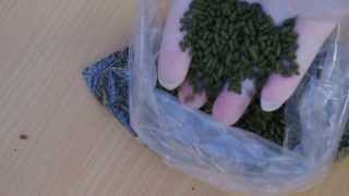 BLUEZOO  ALGAE SPIRULINA STICKS PELLETS FISH FOOD  BLUEZOO [upl. by Ennahtebazile]