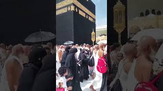 Khana kabah mashallah shorts youtubeshorts [upl. by Gibby805]