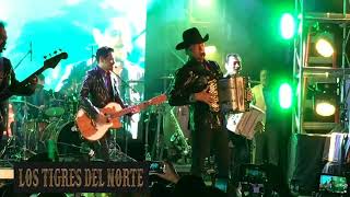 Los Tigres Del Norte  De Paisano A Paisano  En Vivo [upl. by Araminta]