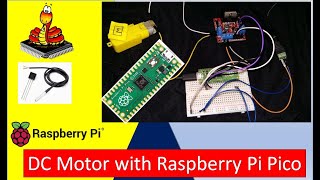 Demo Control DC Motor using L298N Driver with Raspberry Pi Pico and MicroPython [upl. by Kulseth]