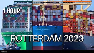 1 hour Shipspotting Rotterdam 2023  2024  The biggest container ships in the world [upl. by Haukom]