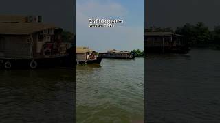 Alleppey Houseboat Vembanad lake India travel alleppeyhouseboats kerala shorts [upl. by Sulrac]