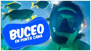 🐟🤿 BUCEANDO CON PECES 🇩🇴  PARTE 3 [upl. by Einaoj]