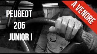 BEST OF Annonce Le Bon Coin Peugeot 205 Junior [upl. by Eiahpets]