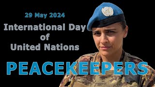 In Honor of UNIFIL Peacekeepers in South Lebanon [upl. by Anasxor]