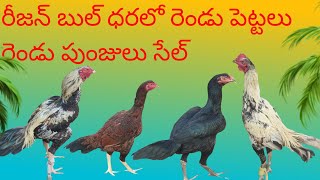 sale తక్కువ ధరలో సెల్edit బాపట్ల శ్రీనివాస్ రాజు videoviral 9948195730 [upl. by Kalam1]