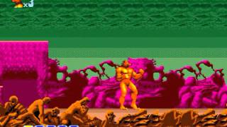 Altered Beast Sega Mega Drive 6  Stage 5  Golden Werewolf  Ending [upl. by Yblek]