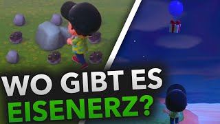 Wo gibt es EISENERZ in Animal Crossing New Horizons [upl. by Nicodemus734]