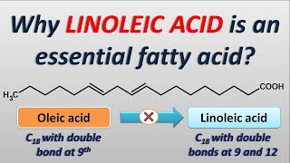 Why Linoleic acid is an essential fatty acid [upl. by Adnomar289]