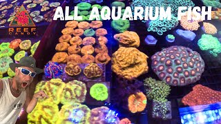 Buying NEW 😍 CORALS 🪸 for my SALTWATERPOND from ALL AQUARIUM FISH aka REEF CANDY 🤙🏽 SWS reefer [upl. by Innig]