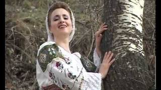 Camelia Balmau  Sta murgul legat la gard  YouTubeflv [upl. by Burlie]