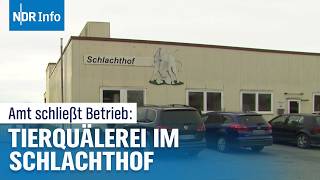 Tierquälerei Amt schließt Schlachthof in der Wesermarsch  NDR Info [upl. by Gapin148]