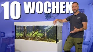 160x60x60 Süßwasser  So verlief der START [upl. by Chute147]