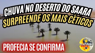 CHUVA NO DESERTO DO SAARA SURPREENDE OS MAIS CÉTICOS [upl. by Mossberg]