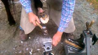 Andric Fajardo shoeing race horses [upl. by Yllib]