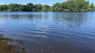 The Merrimack River As Seen From Southwell Field Boat Ramp North Chelmsford Massachusetts [upl. by Latsirk898]