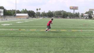 Private QB Training in Tampa and Clearwater  John Kaleo QB Academy [upl. by Ahsieyn168]