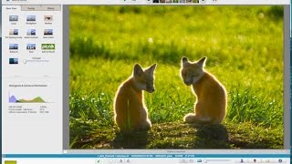 Google Picasa Free Photo Editing Program Tutorial [upl. by Norita]