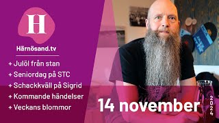 Härnösandtv  14 november 2024 [upl. by Iznil]