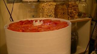 Dehydrating Tomatoes for use later on in Tomato Powder [upl. by Proudlove549]