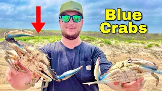 BLUE CRAB Catch amp Cook Galveston Texas [upl. by Rossner]