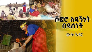 ውሎ አዳር  ሾፎሮ ለዳኝነት በዳሰነች [upl. by Anastos]