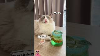 ThatLittlePuff makes classic mint sprite👍🏼 cat pets catlover funnycats thatlittlepuff [upl. by Lledniw]